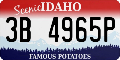 ID license plate 3B4965P