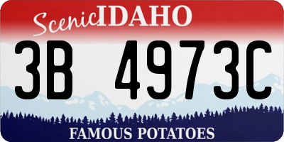 ID license plate 3B4973C