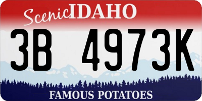 ID license plate 3B4973K