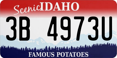 ID license plate 3B4973U