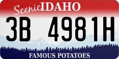 ID license plate 3B4981H