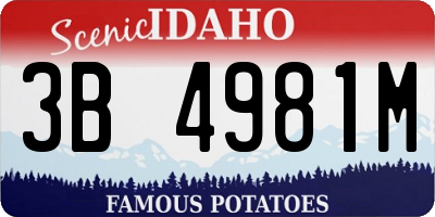ID license plate 3B4981M