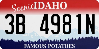 ID license plate 3B4981N