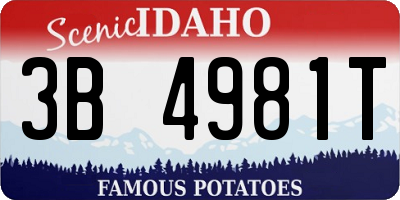 ID license plate 3B4981T