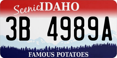 ID license plate 3B4989A