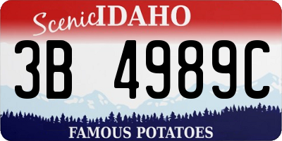 ID license plate 3B4989C