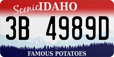 ID license plate 3B4989D