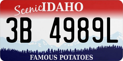 ID license plate 3B4989L
