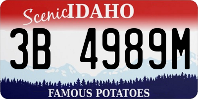 ID license plate 3B4989M
