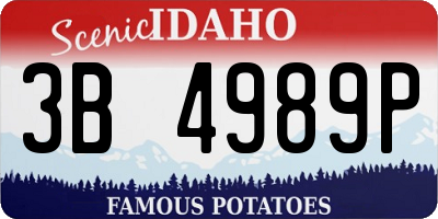 ID license plate 3B4989P