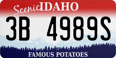 ID license plate 3B4989S