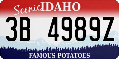 ID license plate 3B4989Z