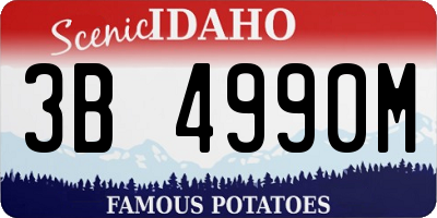 ID license plate 3B4990M