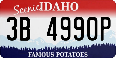 ID license plate 3B4990P