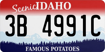 ID license plate 3B4991C