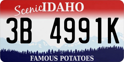 ID license plate 3B4991K