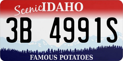 ID license plate 3B4991S