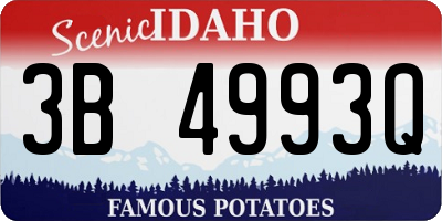 ID license plate 3B4993Q