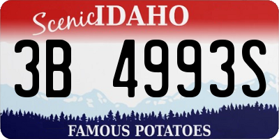 ID license plate 3B4993S