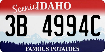 ID license plate 3B4994C