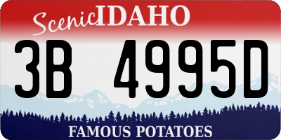 ID license plate 3B4995D