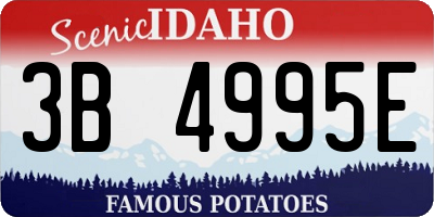 ID license plate 3B4995E