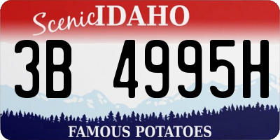 ID license plate 3B4995H