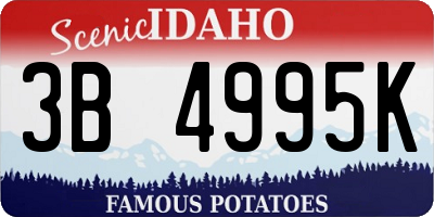 ID license plate 3B4995K