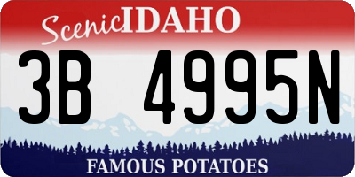 ID license plate 3B4995N