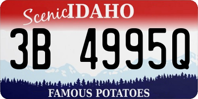 ID license plate 3B4995Q