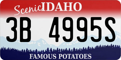 ID license plate 3B4995S