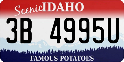 ID license plate 3B4995U