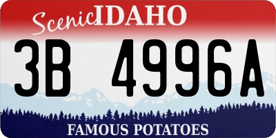 ID license plate 3B4996A