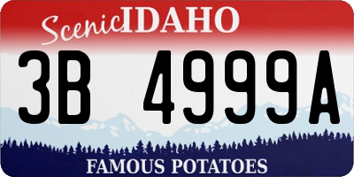 ID license plate 3B4999A