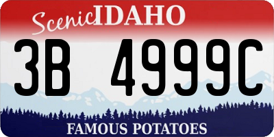 ID license plate 3B4999C