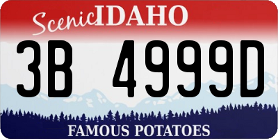 ID license plate 3B4999D