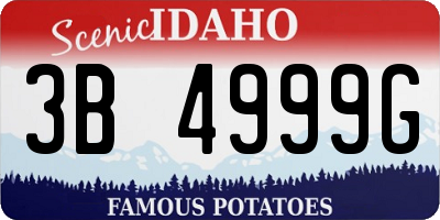 ID license plate 3B4999G