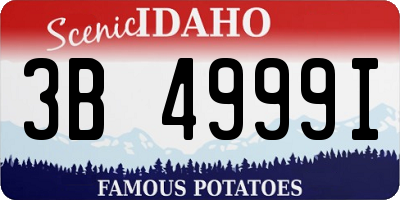 ID license plate 3B4999I