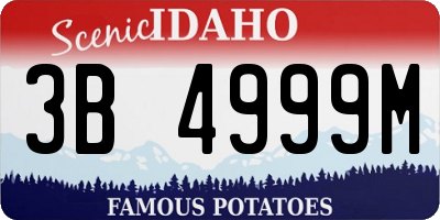 ID license plate 3B4999M