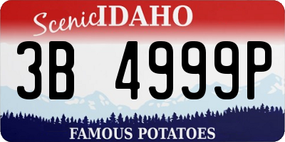 ID license plate 3B4999P