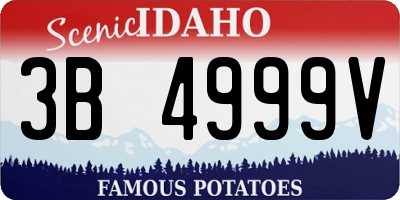ID license plate 3B4999V