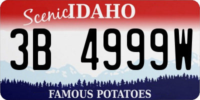 ID license plate 3B4999W