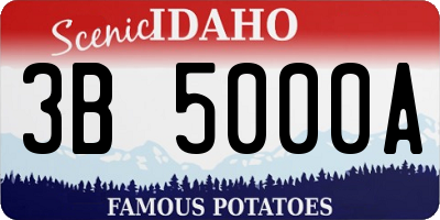 ID license plate 3B5000A