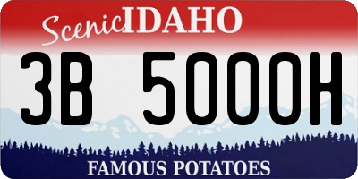 ID license plate 3B5000H