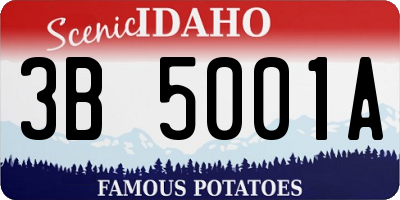 ID license plate 3B5001A