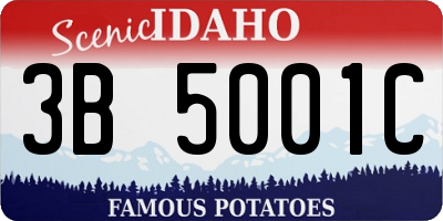 ID license plate 3B5001C