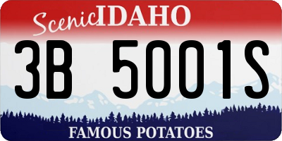 ID license plate 3B5001S