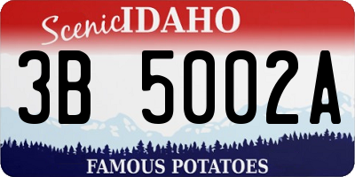 ID license plate 3B5002A