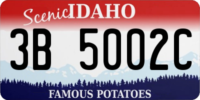ID license plate 3B5002C