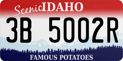 ID license plate 3B5002R